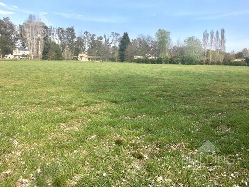Imagen 2 de 10 de Terreno - Campos De Roca-lote-escriturado