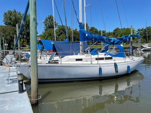Velero Frers 31