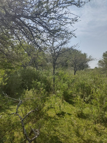 Imagen 9 de 15 de En Venta Chacra Mojones Norte 10.5 Ha