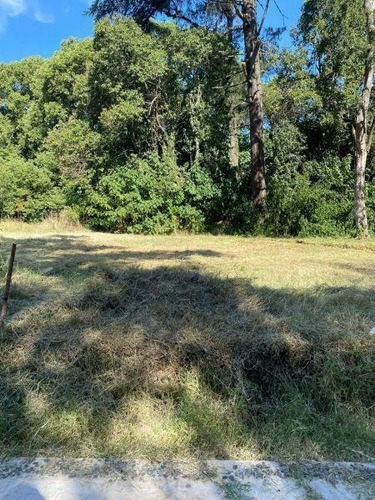 Excelentes Lotes A La Venta En Bella Vista