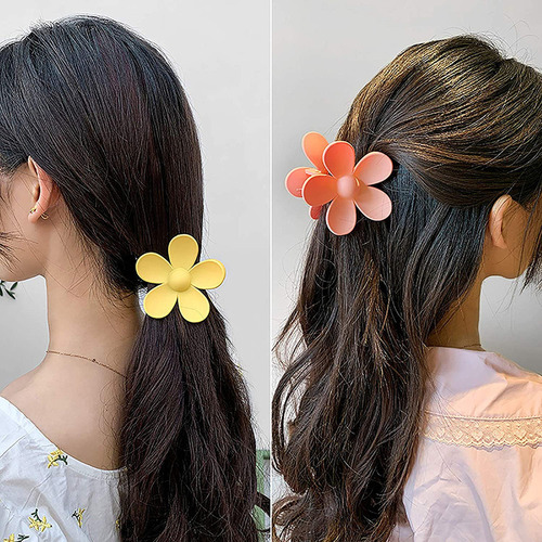 Pinzas Pequeñas De Acrílico For El Pelo, 6 Unidades, De Plá