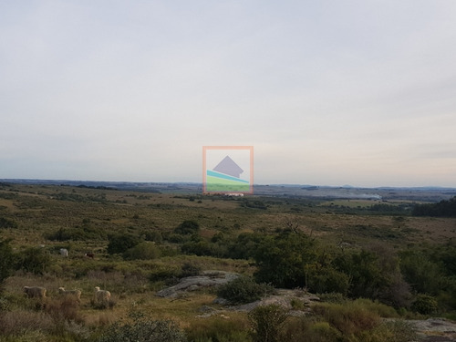 Imagen 3 de 14 de Chacra 10 Hás En Garzón