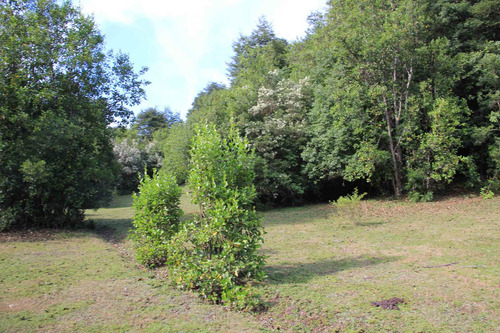 Campo De 326 Hectáreas En Llanada Grande, Cochamó.