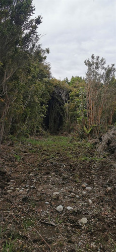 Sitios En Venta En Hualaihue