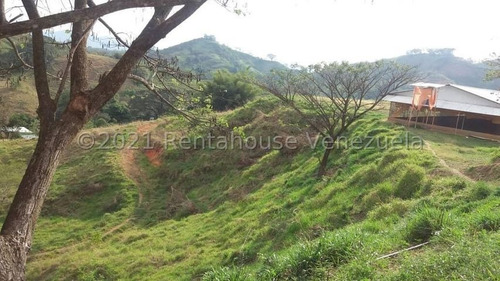 Imagen 2 de 24 de Angelica Nati Rent A House Finca En Venta Vallecito Tinaquillo Cojedes Cod 22m6016 Ar
