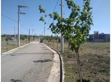 Imagen 6 de 7 de Vendo Lote En Tejas 4
