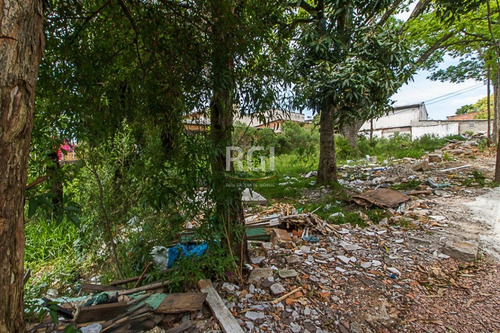Terreno Em Vila Jardim - El56352991