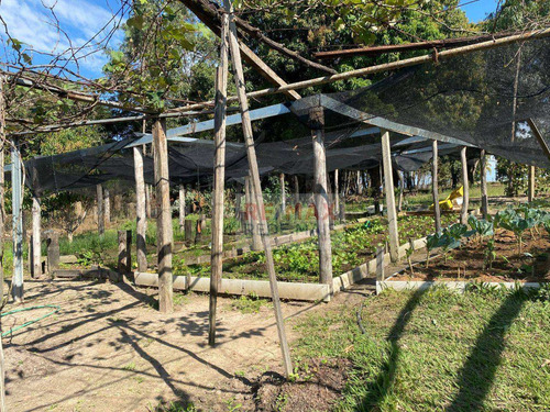 Imagem 22 de 25 de Chácara À Venda, 12.100 M² Por R$ 700.000 - Rio Bonito - Botucatu/sp - Ch0036