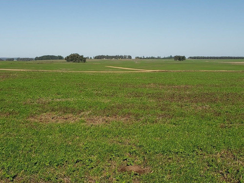 Imagen 13 de 21 de Terreno Campo En Venta Ubicado En Montevideo, Montevideo