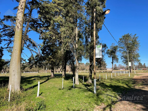 Imagen 19 de 30 de Lote Terreno En Venta 300 M2 - Parques Del Morenito, Moreno Norte