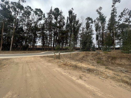 Imagen 15 de 22 de Sitio En Condominio De Categoría En Venta En Puchuncaví