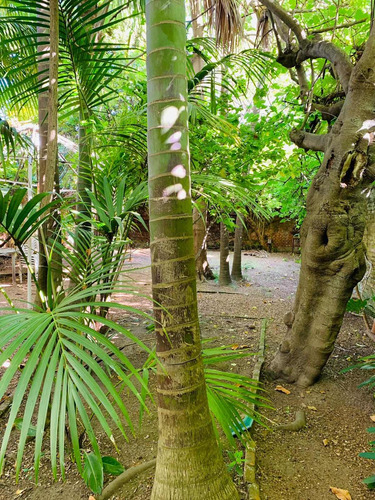Casa En Alquiler Para Empresa Sobre La Avda Sarmiento