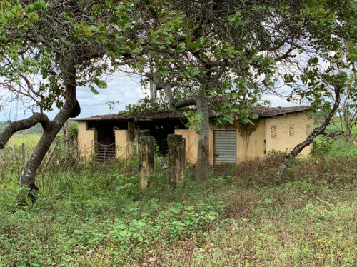 Imagem 6 de 7 de Granja Para Venda - 009987