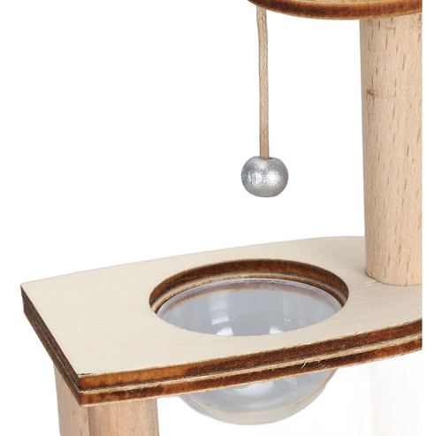 Set De Juego Con Forma De Figura De Gato, Estructura De Esca