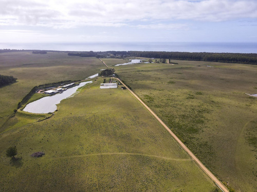 Imagen 20 de 30 de Terreno Lote En Venta Ubicado En Playa Brava, Punta Del Este, Punta Del Este / Maldonado