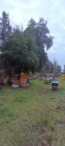 Se Vende Hermosa Parcela, De 5000 Mts 2, Parcela 51, Sector 
