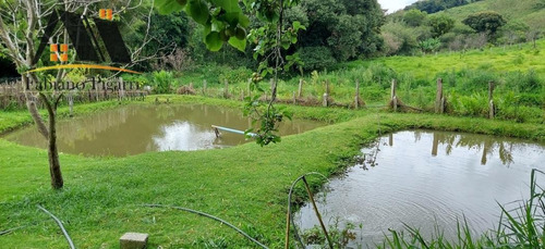 Imagem 8 de 10 de Chácara Para Venda Em Pinhalzinho, Centro, 2 Dormitórios, 1 Banheiro - 72_1-2380493