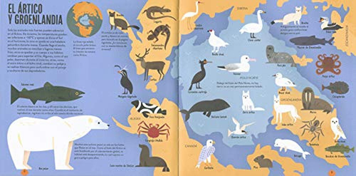 Atlas Animal, De Mcrae, Anne. Editorial Susaeta, Tapa Dura En Español