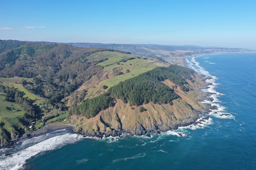 Vista De Primera Línea, Costa Vichuquén