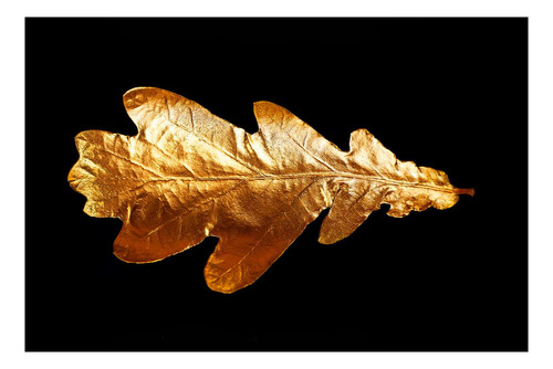 Vinilo 50x75cm Oro Hoja De Arbol Dorada Leaf Moderno