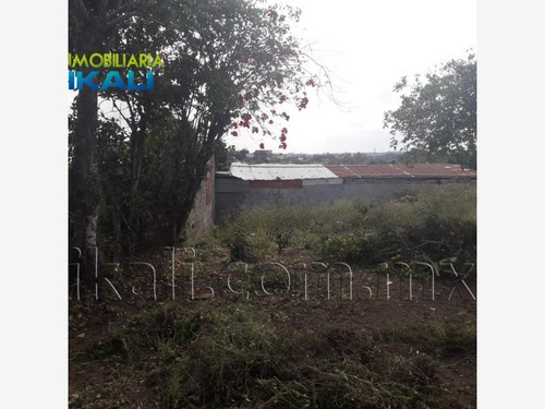 Imagen 4 de 12 de Terreno En Renta Anahuac
