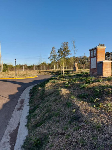 Terreno En Pilar Del Este Barrio Santa Elisa