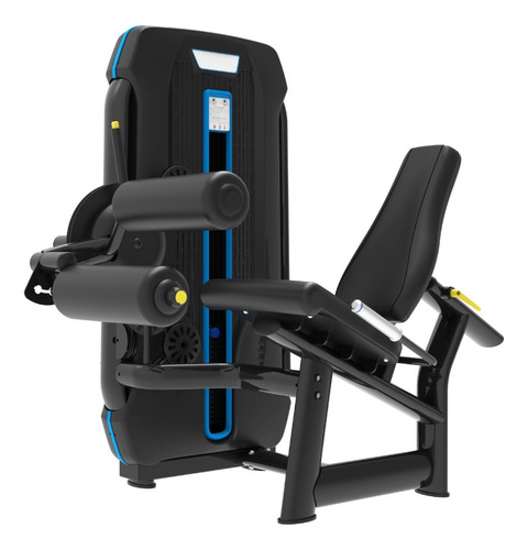 Serie Stz X60 Curve X6055 Leg Extension & Curl 130 Kg Stack