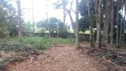 Imagem 19 de 19 de Chácara Em Condomínio Fechado Com 3 Dormitórios À Venda, 5000 M² Por R$ 2.000.000 - Penhinha - Arujá/sp - Ch0086