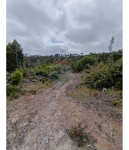 Parcela Con Acceso A Río Y Rol Propio