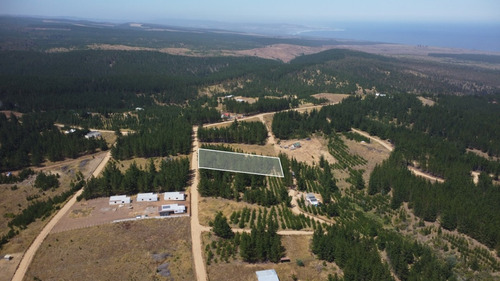 Terreno 5000 M2 Cercado, Sector Alto Colorado, Pichilemu