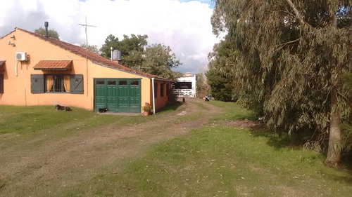 Imagen 3 de 26 de Latorre Prop Vende Casa Quinta 3 Amb , 8600 M2 De Parque