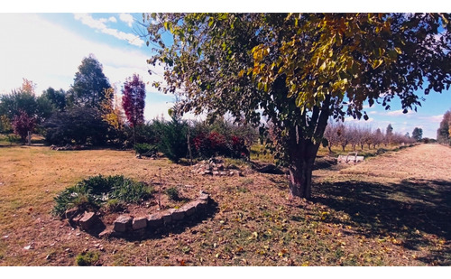 Interesante Y Hermosa Finca Productiva En Venta