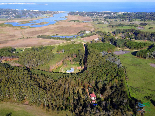 Imagen 3 de 11 de Vendo Terreno De 1 Hectárea Tipo Chacra En Laguna Del Diario, Punta Del Este