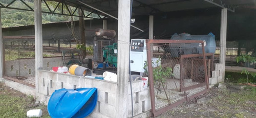 Imagen 11 de 13 de Finca En Recta Ayari Para La Cria De Pollos
