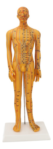 Maniquí Didáctico Modelo De Acupuntura Para Cuerpo Humano De