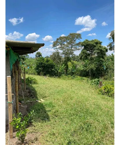 Finca Para La Venta De 5 Cuadras En Circasia