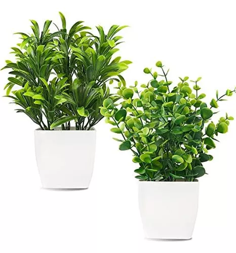 2 paquetes de plantas falsas pequeñas pequeñas plantas artificiales en -  VIRTUAL MUEBLES