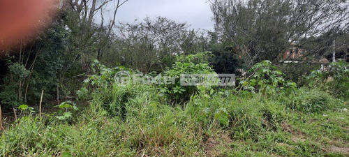 Imagem 3 de 5 de Terreno, 30204.67 M², Lageado - 207412