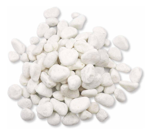 Guijarros Blancos Sin Pulir, 10 Libras 1 Pulgada Guijarros P