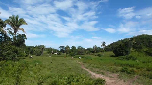 Imagen 7 de 9 de Finca En Venta En Santa Bárbara