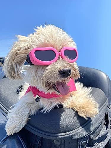 Gafas De Sol De Perro Pequeños Perros Criados Gafas Bz6ml