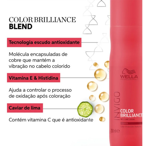 Shampoo Wella Invigo Color Brilliance Proteção Da Cor 250ml