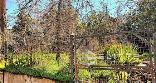 Imagen 7 de 28 de Sitio En Venta En Olmué