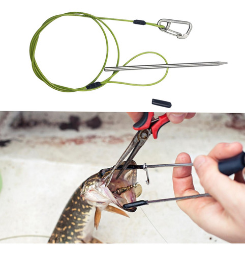Stringer Con Carabinero Para El Longitud De La Cuerda 120 Cm