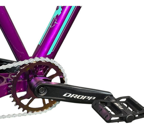 Bicicleta Hupi Whistler Roxa Aro 26 Wheeling/grau