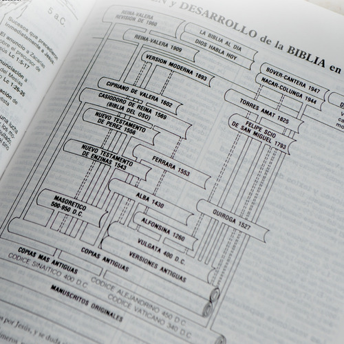 Biblia De Referencias Thompson Reina Valera 1960 Dúo Tono