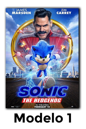 Cuadros Decorativos Sonic La Pelicula ( The Hedgehog )