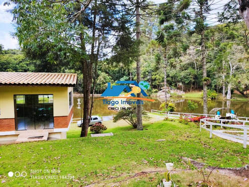 Imagem 5 de 15 de Sítio A Venda Em Atibaia Para Pessoas Amantes Da Natureza - 767