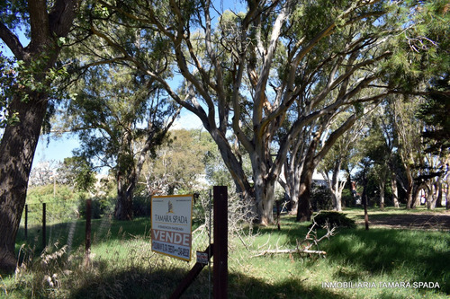 Lote En Santa Teresita Sobre El Monte