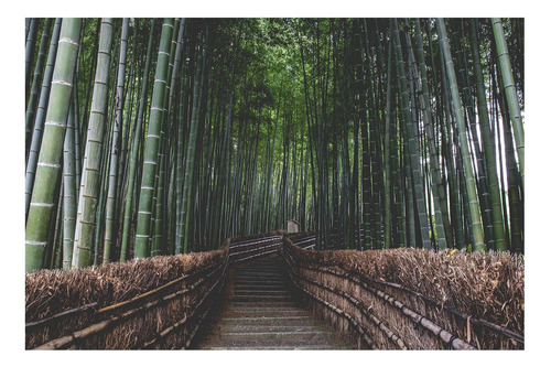 Vinilo 60x90cm Bosque Bambu Japón Entrada Camino